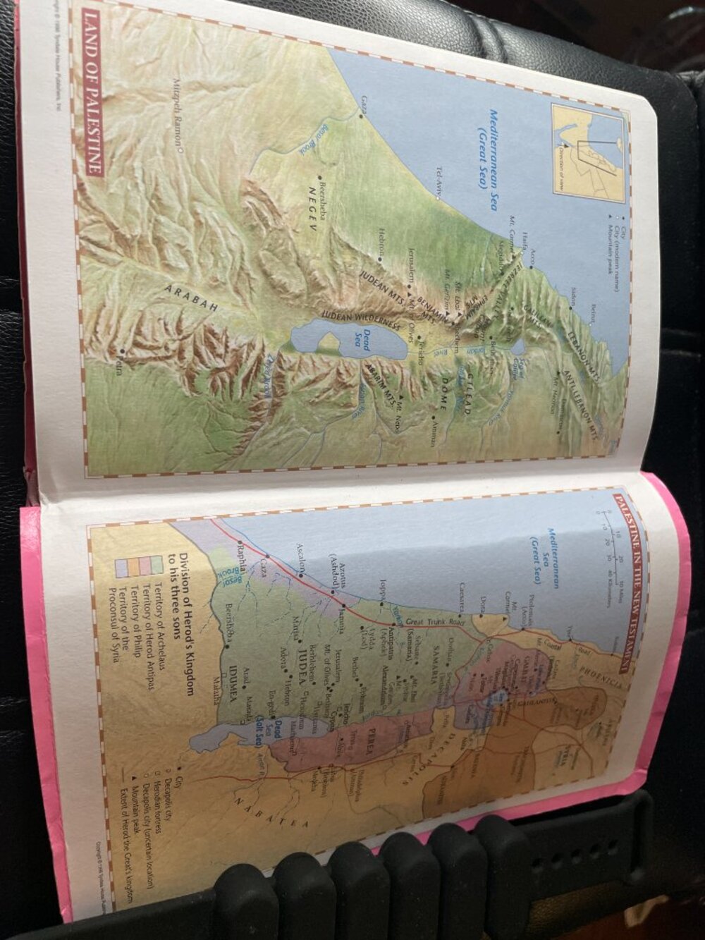 Holy Bible-Paperback Pink Cover - Picture 4 of 8